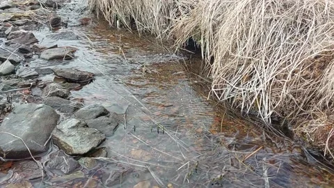 The stream flows in the steppe Stock Footage 292729753