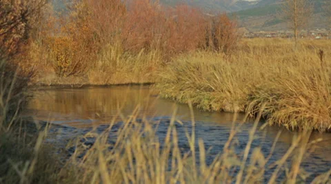 A stream flows with the Teton mountain range in the background Stock Footage 36319348