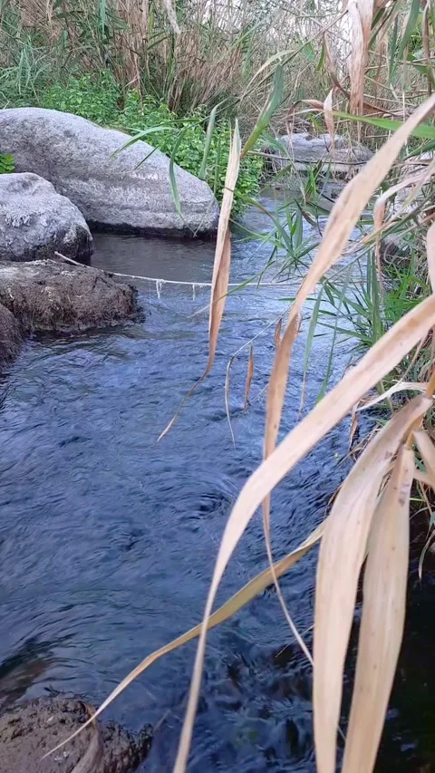 Stream flows through boulders. Stock Footage 245707145