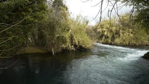 Stream flows through dense bushes and trees and turns Stock Footage 103126087