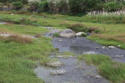 The stream flows through the grassland, with rocks and pebbles on both side.. Stock Photos