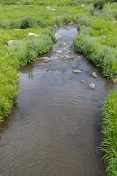 A stream flows through a green meadow. Stock Photos