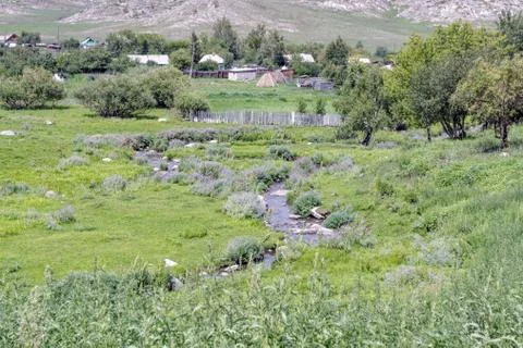 A stream flows through a green meadow. Stock Photos