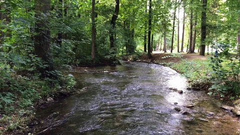 Stream flows through a public park Video stock 116232378