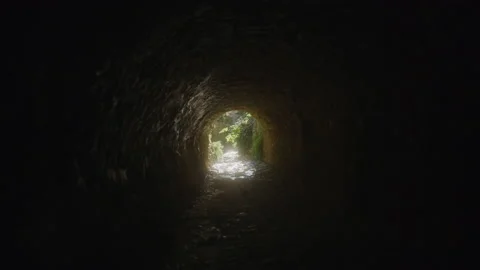 A stream flows through a small tunnel with vegetation at the end, in a garden Stock Footage 229530290