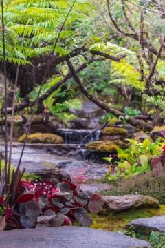 Stream flows through wet garden. Foto stock