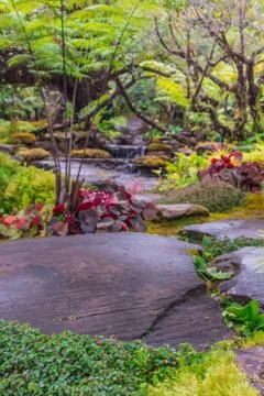 Stream flows through wet garden. Foto stock