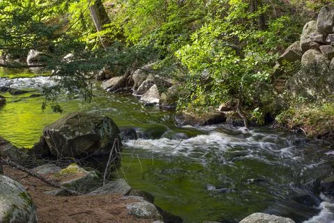 A stream flows through the wilderness of new england Foto stock