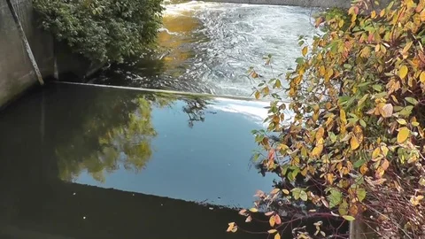 Stream Flows Under Bridge Stock Footage 75960599