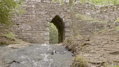 A stream flows under a stone bridge in the forest Stock Footage 169647586