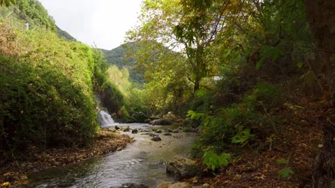 Stream flows in the Upper Galilee mountains Vídeo Stock 257556948
