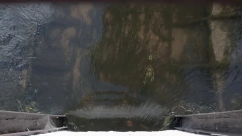 A stream flows. water pollution Stock Footage 155586527