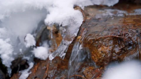 A stream flows in winter, close-up, there is snow. Stock Footage 166720204