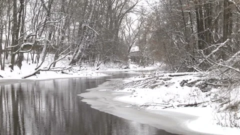The stream flows in the winter forest. Stock-Footage 92816927
