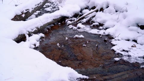 A stream flows in winter, there is snow. Spring brook. Video stock 154839278