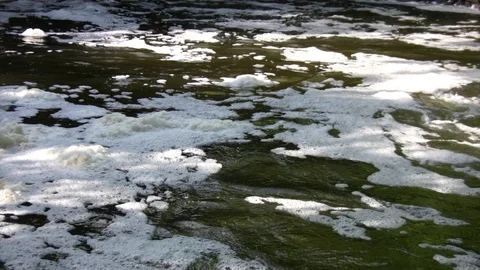 Stream of foamy and polluted water with audio, close up Stock Footage 88778042