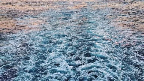 Stream of foamy water illuminated by the setting sun Stock Footage 316307546