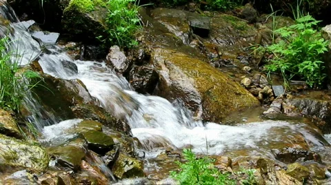 Stream Stock Footage 474982