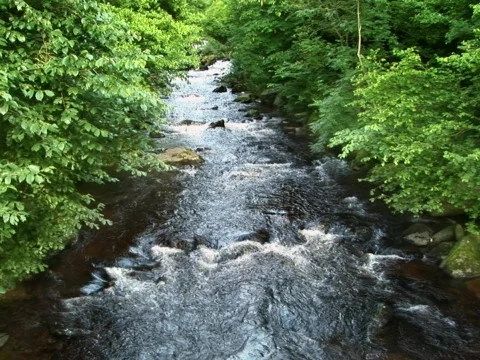 Stream Stock Footage 490287