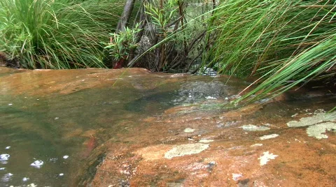 Stream Stock Footage 507636