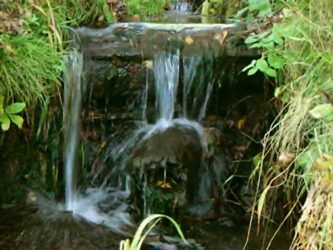 Stream Stock Footage 522889