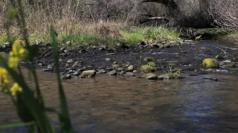 Stream Stock Footage 661532