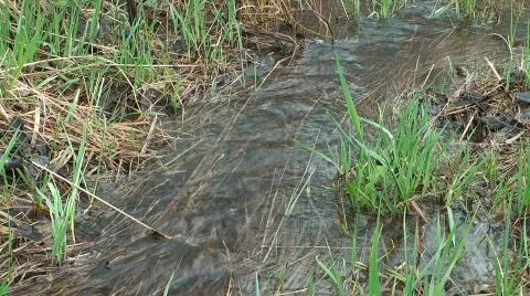 Stream Stock Footage 710869