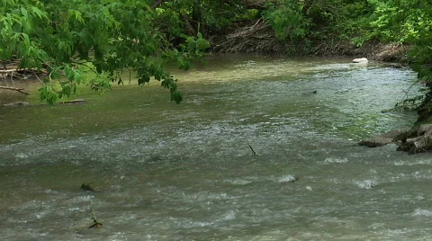 Stream Stock Footage 757816