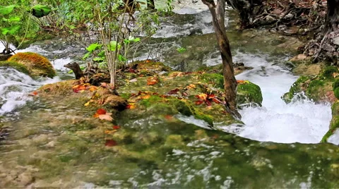 Stream Видео 905061