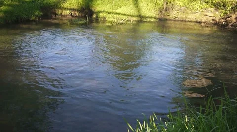 Stream Video stock 2522130