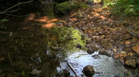 Stream Vídeo Stock 7755122