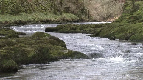 STREAM Stock Footage 8548920