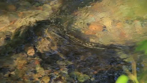 Stream Stock Footage 8908693