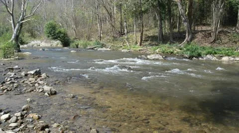 Stream Stock Footage 10809711