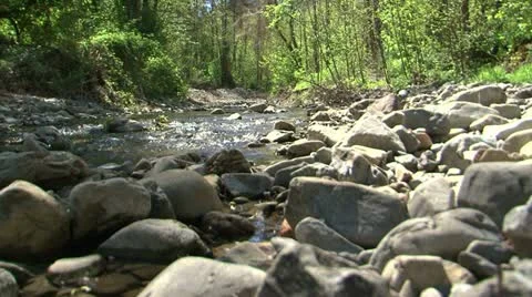 Stream Video stock 11019005