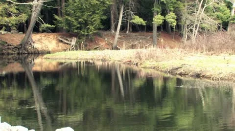 Stream Video stock 11126353