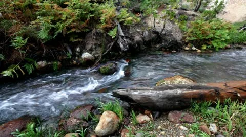 Stream Stock Footage 11884144