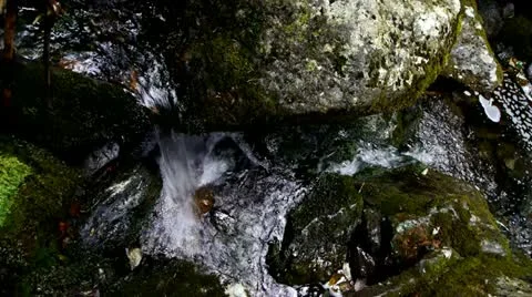 Stream Video stock 11910769