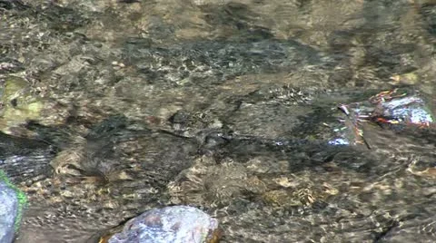 Stream 스톡 동영상 12292840