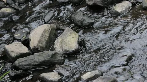 Stream Stock Footage 22204019