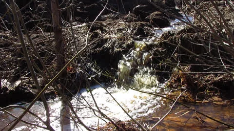 Stream Video stock 22798937