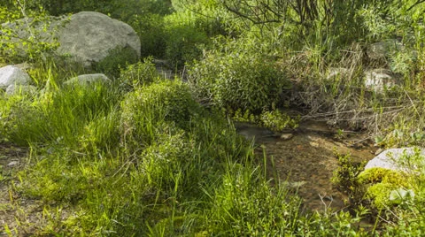 Stream Stock Footage 25273264