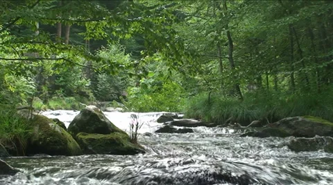 Stream Stock Footage 29802971