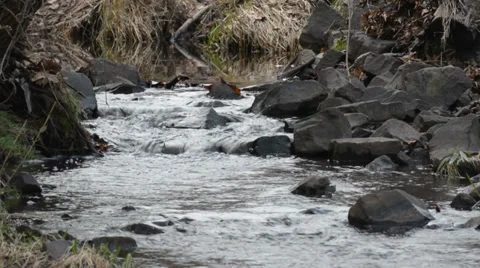 Stream Stock Footage 33135402