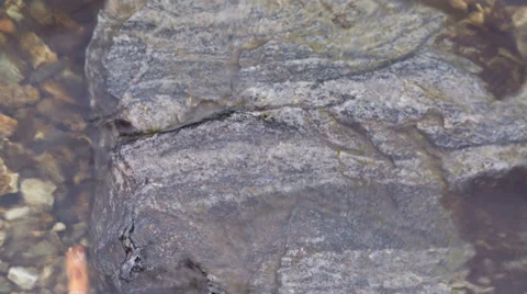 Stream Stock Footage 35802121