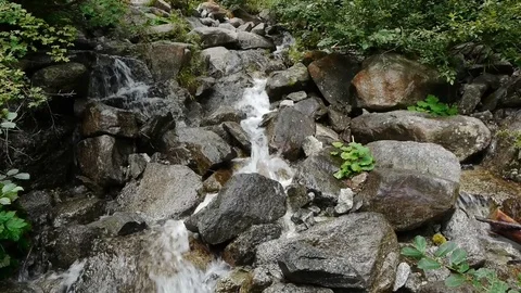 Stream Stock Footage 75236720