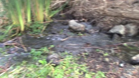 Stream Video stock 82753895