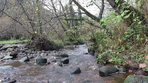 Stream Stock Footage 86174545