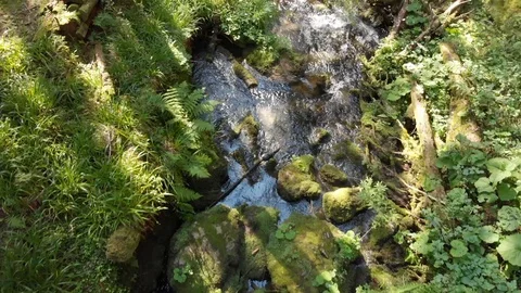 Stream Stock Footage
