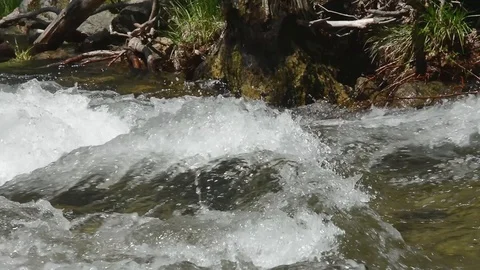 Stream Stock Footage 102491220